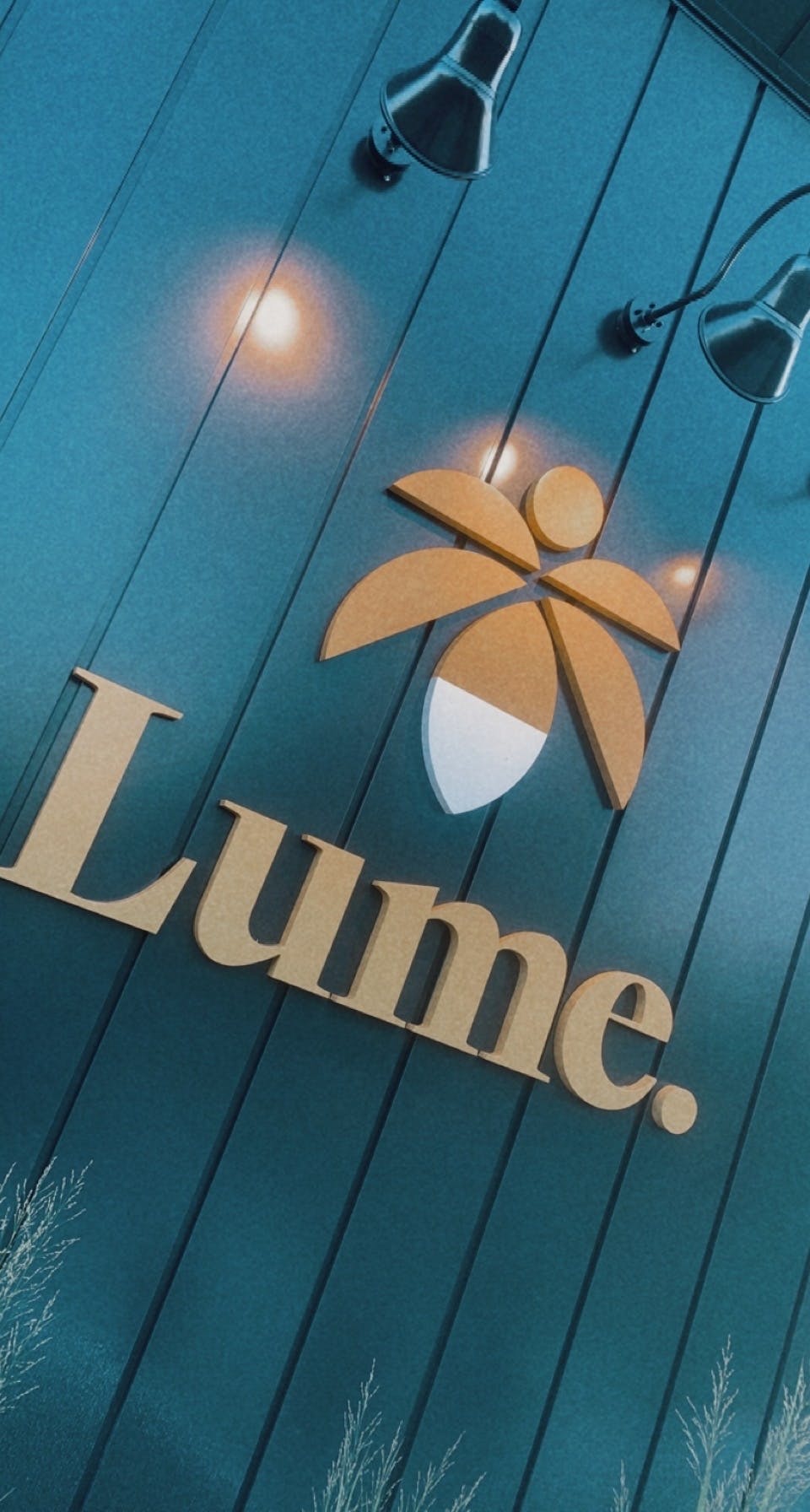 Lume Cannabis Co Portage Portage Michigan Marijuana Dispensary
