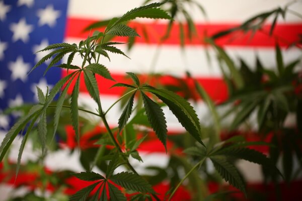 Overcoming the Challenges of Marijuana Legalization in the United States
