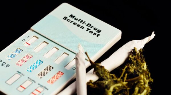 Marijuana Testing for Employment: Understanding the New Landscape