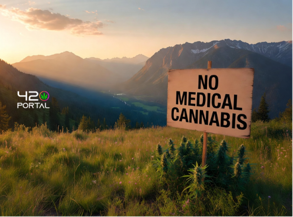 Idaho Medical Marijuana Push Falls Short for November Ballot