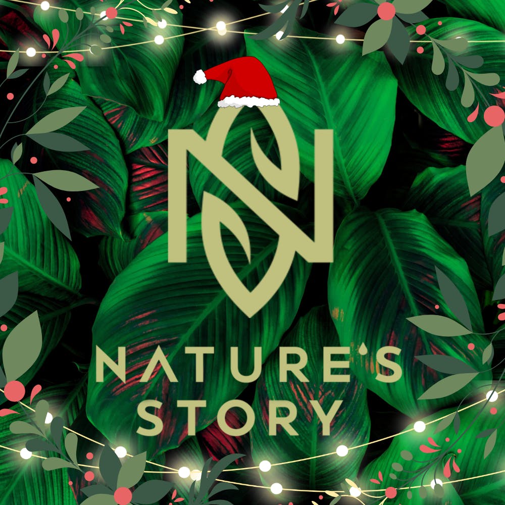 Nature's Story Woodland Hills, California Marijuana Dispensary