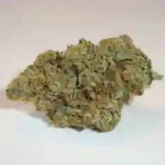 $100 OG mairjuana