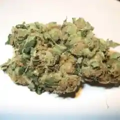3 Kings - Three Kings mairjuana