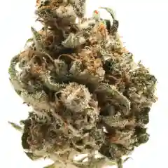 501st OG - 501 OG mairjuana