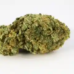 9lb Hammer - 9 Pound Hammer - Nine Pound Hammer mairjuana