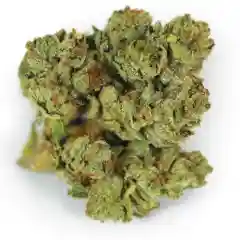 A-10 marijuana