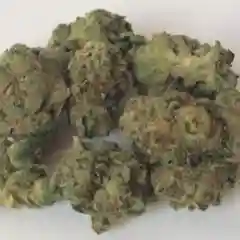 A-Dub - ADub mairjuana