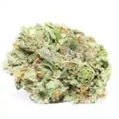 Abracadabra - Abra Cadabra mairjuana