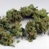 Ace of Spades mairjuana