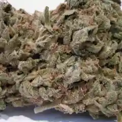 Afgoo - Afghan Goo - Afgooey marijuana