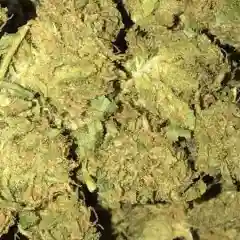 Afgoo - Afghan Goo - Afgooey marijuana