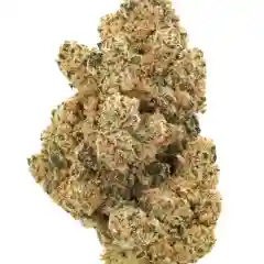 Afghani - Afghan mairjuana