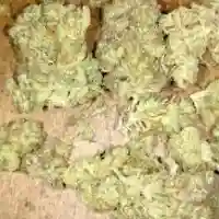 Alaska mairjuana