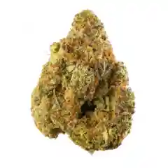 Alexander the Grape mairjuana