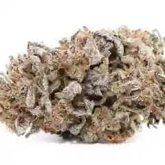 Alien Cookies mairjuana