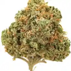 Alien Kush mairjuana