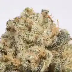 Alien Stardawg mairjuana