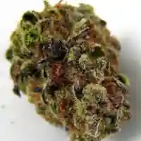 Allen Wrench mairjuana