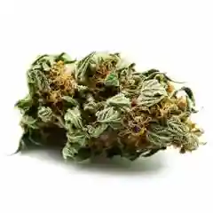 Alpha OG - Alpha OG Kush - Alpha Medic OG mairjuana