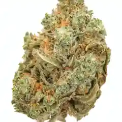 Amnesia mairjuana