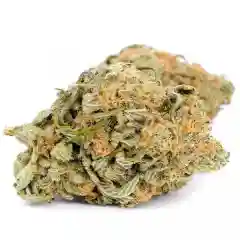 Animal Cookies - Animal Crackers mairjuana