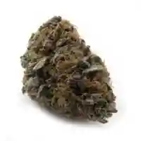 AOTA - All Of The Above Marijuana Strain