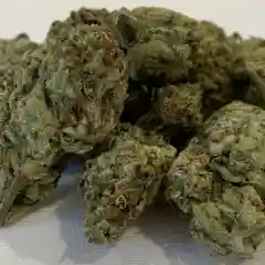 Apple Fritter mairjuana