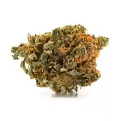 Argyle mairjuana