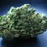 Asian Fantasy mairjuana