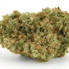 Asteroid - Asteroid OG mairjuana