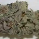 Big Wreck Marijuana Strain