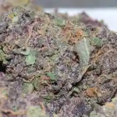 Black Diamond Marijuana Strain