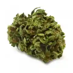 Black Lime - Black Lime Special Reserve -  Black Lime Special mairjuana