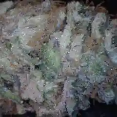 Blackberry Hashplant mairjuana