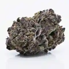 Blackberry Kush mairjuana