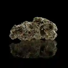 Blackwater - Blackwater OG mairjuana