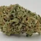 Blue Bayou mairjuana