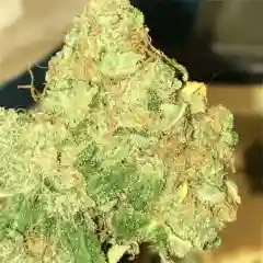 Blue Buddha mairjuana