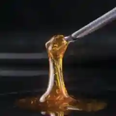 Blue Dream marijuana
