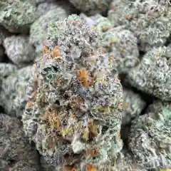 Blue Dream marijuana