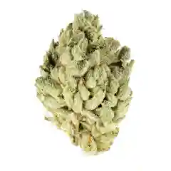 Blue Glue mairjuana