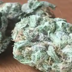 Blue Knight - Blue Night -  Blueberry Knight mairjuana