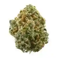 Blueberry Line - B-Line Marijuana Strain