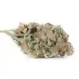 Canna-Tsu Marijuana Strain
