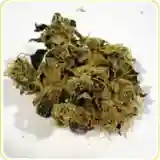 Chemdawg 4 Marijuana Strain