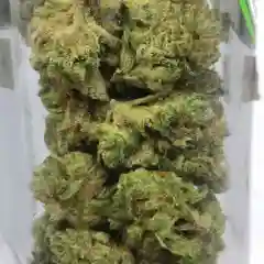 Chemdawg Special Reserve Marijuana Strain