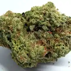 Chiesel Marijuana Strain
