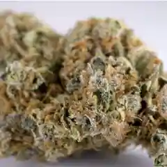Clementine mairjuana