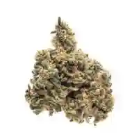 Colombian Mojito mairjuana
