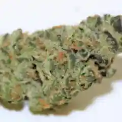 Cookies and Cream Marijuana Strain